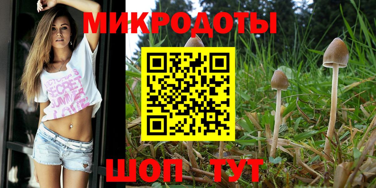 Галлюциногенные грибы GOLDEN TEACHER  Вход с VPN  Губкин 