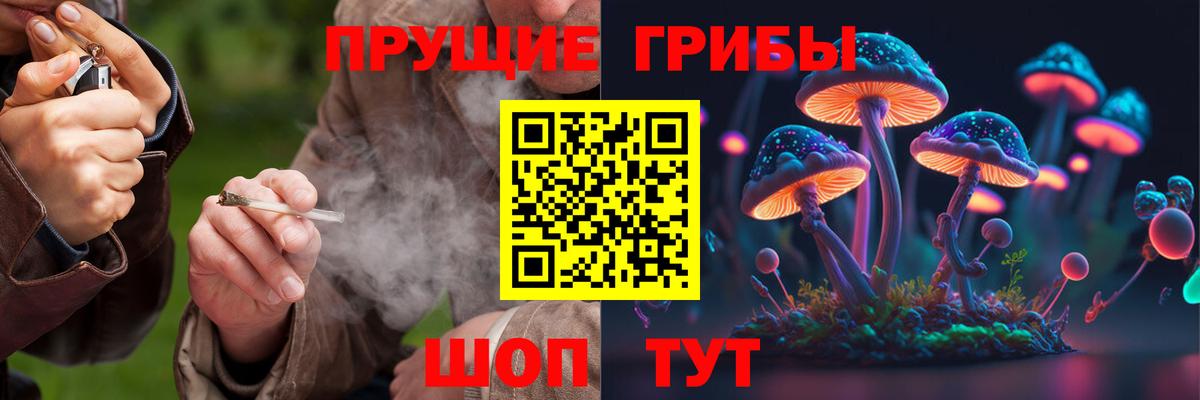 Псилоцибиновые грибы Magic Shrooms Губкин